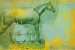 Limited Edition Equine Print
